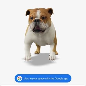 Meet your Posher, Kara